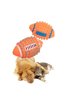 Sesli Kedi Köpek Isırma Topu Renkli Sesli Diş Kaşıma Pet Oyuncağı