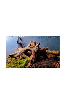 Akvaryum Ve Terraryum İçin Dekoratif Kök Akvaryum Ve Terraryum İçin Dekoratif Kök