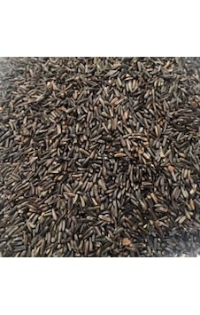 Nijer Tohumu 500 Gr Kuşlar için Nijer Tohum Yemi Kızıştırıcı Yem Nijer Tohumu 500 Gr Kuşlar için Nijer Tohum Yemi Kızıştırıcı Yem
