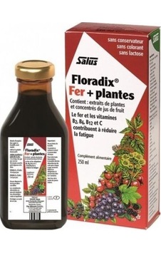 Floradix Sıvı Takviye Edici Gıda 250 ML Floradix Sıvı Takviye Edici Gıda 250 ML