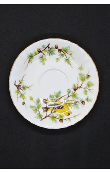Woodland Serisi Goldfinch Bone China England Antika Porselen Kahve Fincan Tabağı 12 Cm Kahverengi Woodland Serisi Goldfinch Bone China England Antika Porselen Kahve Fincan Tabağı 12 Cm Kahverengi