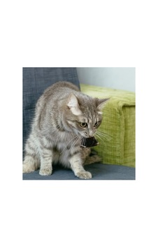 Hareketli Fare Şeklinde Eğlenceli Kedi Oyuncağı, Dayanıklı Peluş Hareketli Fare Şeklinde Eğlenceli Kedi Oyuncağı, Dayanıklı Peluş