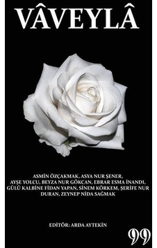 Vaveyla- Doksan Dokuz Yayınları Vaveyla- Doksan Dokuz Yayınları