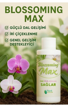 Blossomingmax - Orkideler İçin Dal Ve Çiçek Destekleyici Premium Besin 100 Ml Diğer