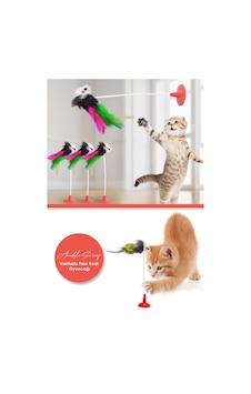 Eğlenceli Vantuzlu Fare Kedi Oyuncağı Eğlenceli Vantuzlu Fare Kedi Oyuncağı