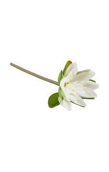 Pasabahce Beyaz Lotus 22 Cm - 1 Adet