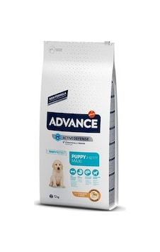 Advance Puppy Protect Maxi Tavuklu Büyük Irk Yavru Köpek Maması 12 KG Advance Puppy Protect Maxi Tavuklu Büyük Irk Yavru Köpek Maması 12 KG