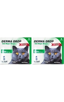Dr. Sed Kediler İçin Bitkisel Bakım Damlaları 5 X 1 Ml Şase 2 Kutu