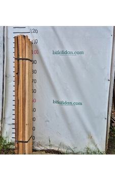 Fidan Dikim Tahtası 100-110 Cm 15 Adet
