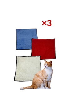 3 Adet Yumuşak Dokulu Peluş Kedi Halısı 40x40 Cm Kulübe İçi Pofuduk Minder