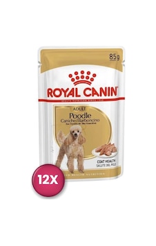 Royal Canin Poodle Yetişkin Pouch Köpek Konservesi 85 Gr X 12 Royal Canin Poodle Yetişkin Pouch Köpek Konservesi 85 Gr X 12