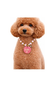 Yavru / Küçük Irk Kedi Köpek Kolyesi