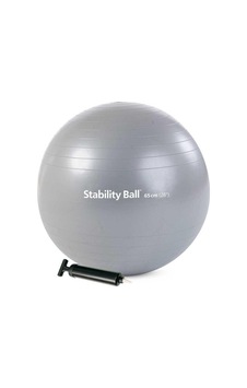 Merrithew Health & Fitness Stability Ball - 65cm Withpump Silver Cn St-06207