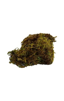 Yosun Su Yosunu Doğal 100 Gr Paket