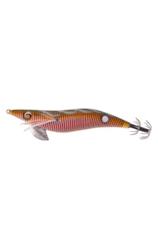 Wıld Chase 3.0 Color: 71 Kalamar Zokası Wıld Chase 3.0 Color: 71 Kalamar Zokası