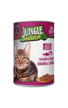 Northcity Kedi Konserve Somonlu & Karidesli 400gr 1 Adet Northcity Kedi Konserve Somonlu & Karidesli 400gr 1 Adet
