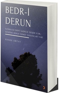Bedr-i Derun / Hande Ortay