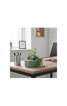 Beton Saksı Sukulent Bonzai Teraryum Arajman Çiçek Saksısı 18x7cm Bitki Hariç Yeşil Beton Saksı Sukulent Bonzai Teraryum Arajman Çiçek Saksısı 18x7cm Bitki Hariç Yeşil