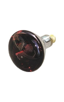 General 250 Watt Infrared Ampul Red General 250 Watt Infrared Ampul Red