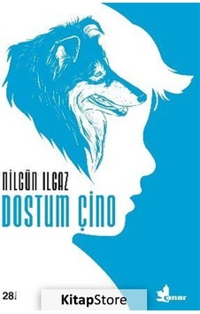 Dostum Çino / Nilgün Ilgaz