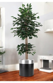 Yapay Benjamin Ağacı Bambu Gövdeli Yeşil Şık Metal Sıyah Saksılı 150 Cm Yeşil Yapay Benjamin Ağacı Bambu Gövdeli Yeşil Şık Metal Sıyah Saksılı 150 Cm Yeşil