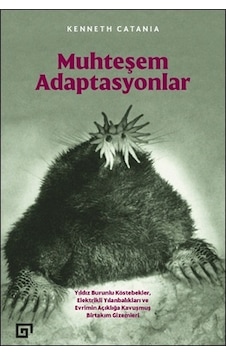 Muhteşem Adaptasyonlar  - Kenneth Catania  - Koç Üniversitesi Yayınları