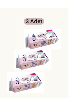 Fantasy Islak Bebek Havlusu 72li Kapaklı 3 Adet Diğer Fantasy Islak Bebek Havlusu 72li Kapaklı 3 Adet Diğer