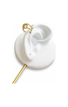 Çelik Kıkırdak Küpe Gold 94141174 Çelik Kıkırdak Küpe Gold 94141174