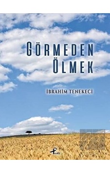 Görmeden Ölmek - İbrahim Tenekeci - Profil Kitap