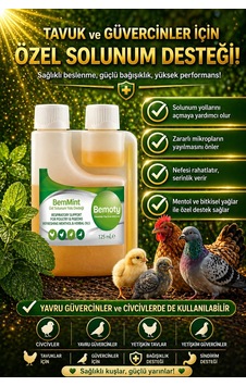 Bemoty Bemmınt 125 Ml Bemoty Bemmınt 125 Ml