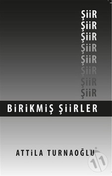 Birikmiş Şiirler