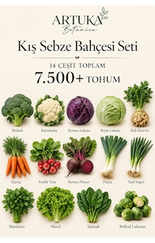 Kış Sebze Bahçesi Tohum Seti 14 Çeşit 7.500+ Tohum Brokoli, Karnabahar, Kırmızı & Beyaz Lahana, Kereviz, Havuç, Fındık Turp, Pancar, Pırasa, Yeşil Soğan, Maydanoz, Marul, Ispanak, Brüksel Lahanası Kış Sebze Bahçesi Tohum Seti 14 Çeşit 7.500+ Tohum Brokoli, Karnabahar, Kırmızı & Beyaz Lahana, Kereviz, Havuç, Fındık Turp, Pancar, Pırasa, Yeşil Soğan, Maydanoz, Marul, Ispanak, Brüksel Lahanası