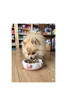 Pembe Fiyonk Küçük Köpek Mama Kabı Pembe Fiyonk Küçük Köpek Mama Kabı