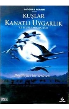 Kuşlar Kanatlı Uygarlık (Dvd)
