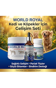 Köpekler İçin Gelişim Seti Collajen -amino Acıd -fısh Oil Omega3-6 Köpekler İçin Gelişim Seti Collajen -amino Acıd -fısh Oil Omega3-6