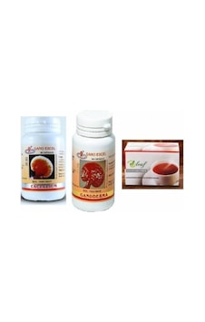 Gano Derma Excellium Roobios Çay 3'Lü Set Gano Derma Excellium Roobios Çay 3'Lü Set