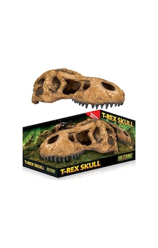 - 371 - Terra Trex Kafatası Şekilli - Dpmıx-hb - Sürüngen Yuvası - 371 - Terra Trex Kafatası Şekilli - Dpmıx-hb - Sürüngen Yuvası