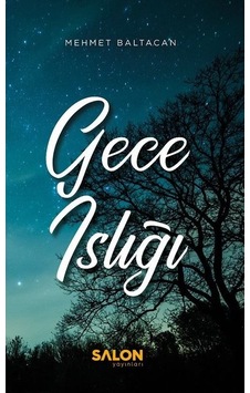 Gece Islığı - Mehmet Baltacan - Salon Yayınları