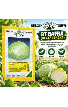Bafra Beyaz Lahana Tohumu 10 Gr Bafra Beyaz Lahana Tohumu 10 Gr