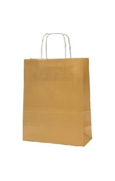 Kraft Çanta Gold 31X12X41 Büyük 25 Li