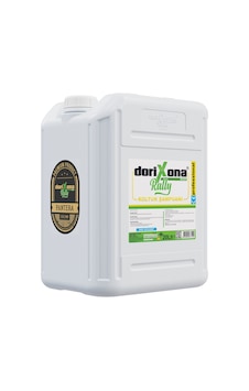 Dorixona Koltuk Şampuanı 20 LT