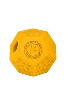 Kiwi Walker Dayanıklı Yüzen Köpek Oyuncağı Dodecaball Midi Kiwi Walker Dayanıklı Yüzen Köpek Oyuncağı Dodecaball Midi