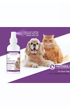 Biolife Pro Perfeck Perfume Patchoulı Kedi Ve Köpek Tüy Bakım Spreyi Parfümü 100 Ml Biolife Pro Perfeck Perfume Patchoulı Kedi Ve Köpek Tüy Bakım Spreyi Parfümü 100 Ml