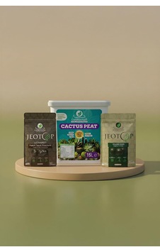 Cactus Peat 15 L 1 Adet + Jeotop Leonardit Ve Organik Gübre Paketi Diğer Cactus Peat 15 L 1 Adet + Jeotop Leonardit Ve Organik Gübre Paketi Diğer