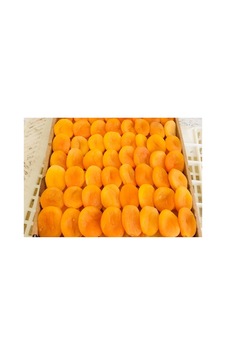 Organik Kayısı Kurusu 1 Kg Diğer