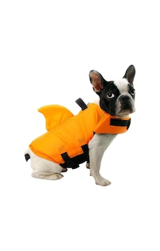 Lion Shark Köpek Can Yeleği S Lion Shark Köpek Can Yeleği S