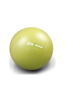 Proforce Pilates Topu 75 CM 1300 Gr