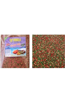 GEMMA Tüm Cichlid Ciklet Türleri İçin Balık Yemi 360 gr 1150 ml