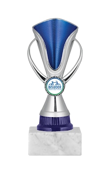 Odak Kupa - Genel Kupalar - Gn-057 A - 19 Cm Altın