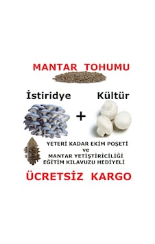 2000 Adet İstiridye Ve 2000 Adet KüLür Mantarı Tohumu